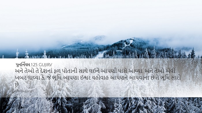 પુનર્નિયમ 1:25 GUJIRV Bible Verse Image