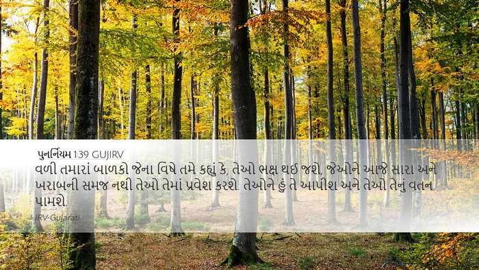 પુનર્નિયમ 1:39 GUJIRV Bible Verse Image
