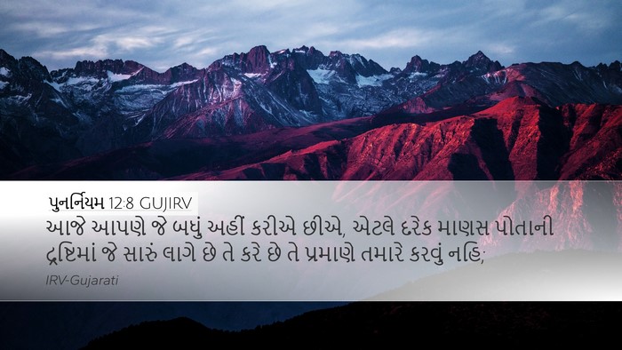 પુનર્નિયમ 12:8 GUJIRV Bible Verse Image