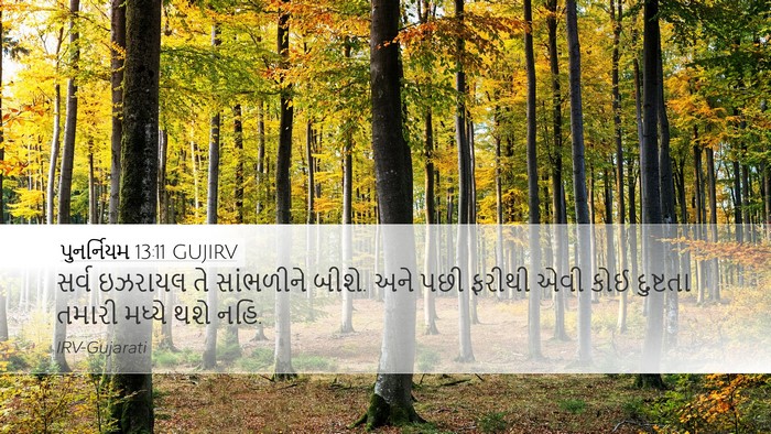 પુનર્નિયમ 13:11 GUJIRV Bible Verse Image