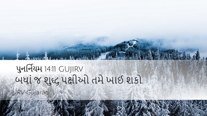 પુનર્નિયમ 14:11 GUJIRV Desktop Wallpaper - બધાં જ શુદ્ધ - Desktop Bible Verse Wallpaper
