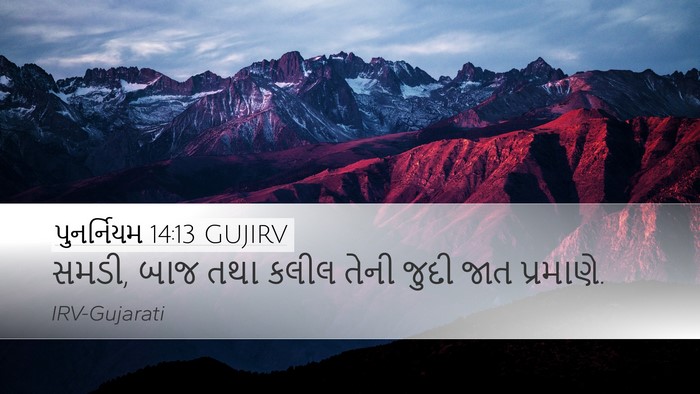 પુનર્નિયમ 14:13 GUJIRV Desktop Wallpaper - સમડી, બાજ તથા કલીલ - Desktop Bible Verse Wallpaper