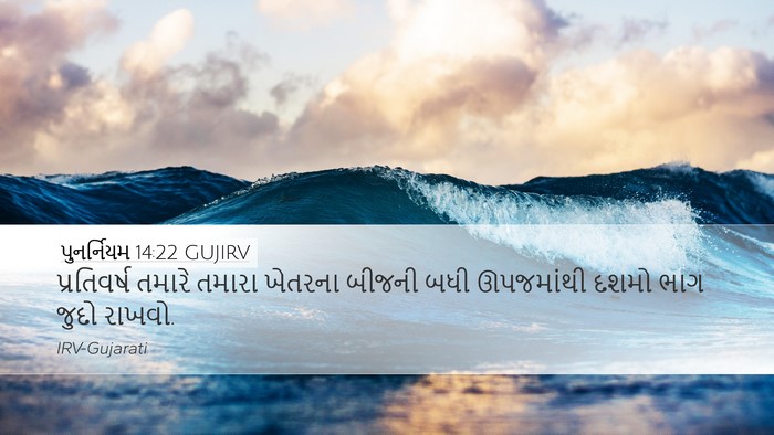 પુનર્નિયમ 14:22 GUJIRV Bible Verse Image