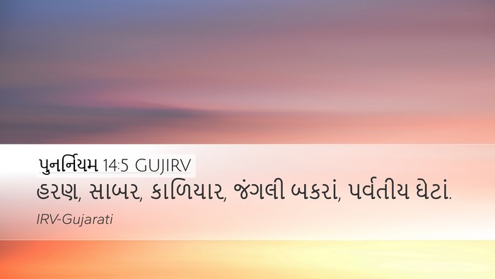 પુનર્નિયમ 14:5 GUJIRV Desktop Wallpaper - હરણ, સાબર, કાળિયાર, - Desktop Bible Verse Wallpaper