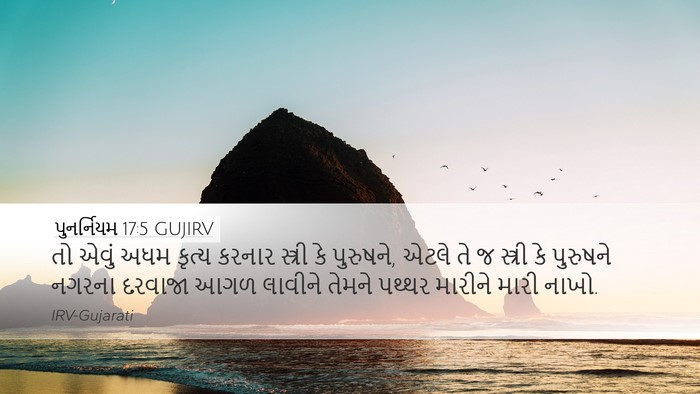 પુનર્નિયમ 17:5 GUJIRV Bible Verse Image