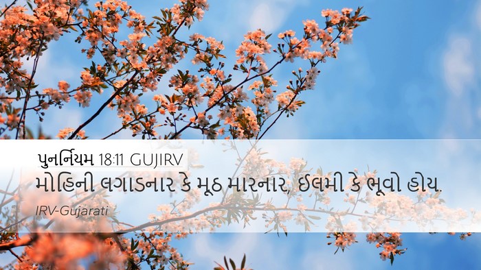 પુનર્નિયમ 18:11 GUJIRV Bible Verse Image