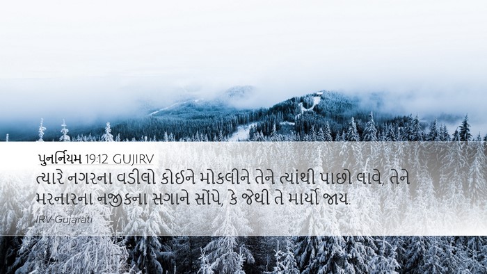 પુનર્નિયમ 19:12 GUJIRV Bible Verse Image