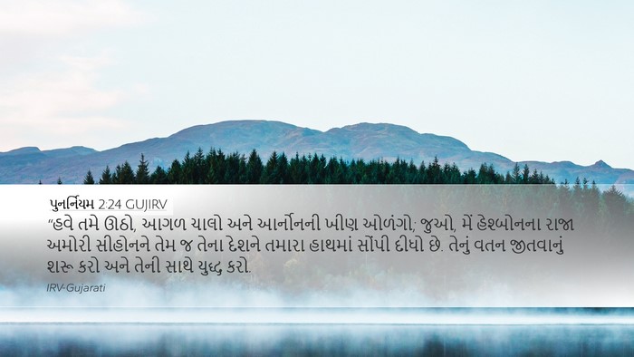 પુનર્નિયમ 2:24 GUJIRV Bible Verse Image