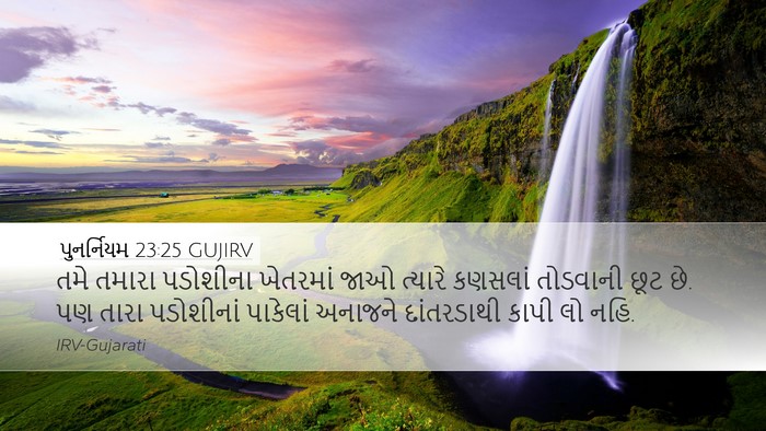 પુનર્નિયમ 23:25 GUJIRV Bible Verse Image