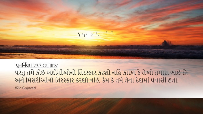 પુનર્નિયમ 23:7 GUJIRV Bible Verse Image