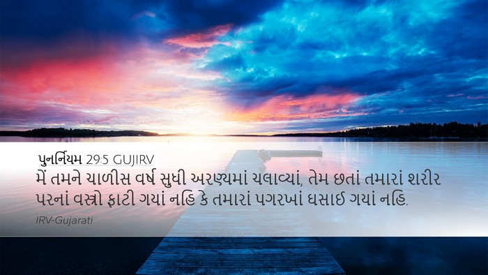 પુનર્નિયમ 29:5 GUJIRV Bible Verse Image