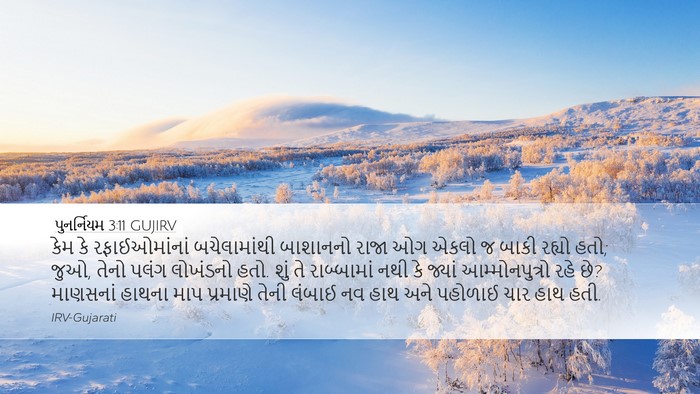 પુનર્નિયમ 3:11 GUJIRV Bible Verse Image