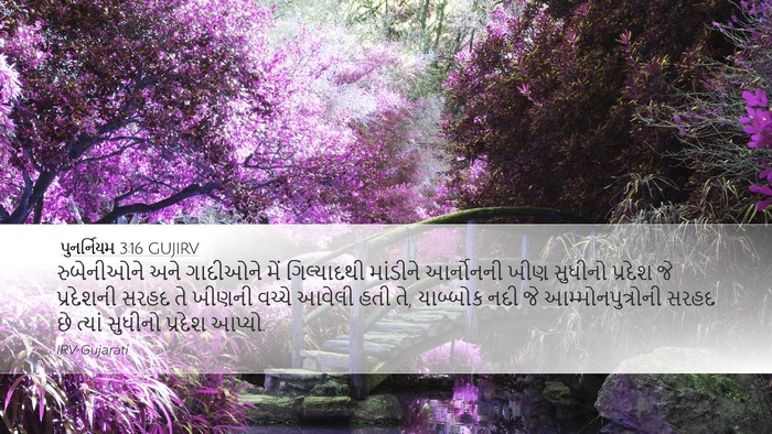 પુનર્નિયમ 3:16 GUJIRV Bible Verse Image