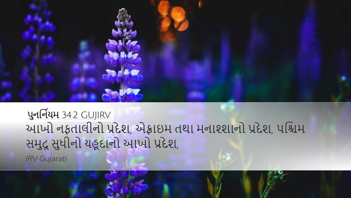 પુનર્નિયમ 34:2 GUJIRV Bible Verse Image