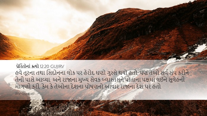 પ્રેરિતોનાં ક્રત્યો 12:20 GUJIRV Bible Verse Image