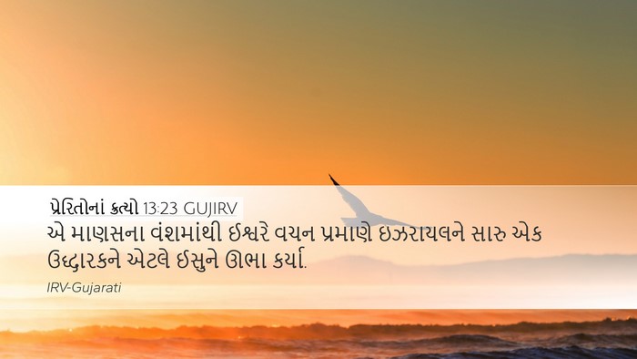 પ્રેરિતોનાં ક્રત્યો 13:23 GUJIRV Bible Verse Image