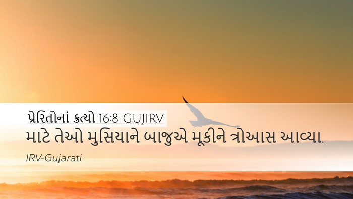પ્રેરિતોનાં ક્રત્યો 16:8 GUJIRV Bible Verse Image