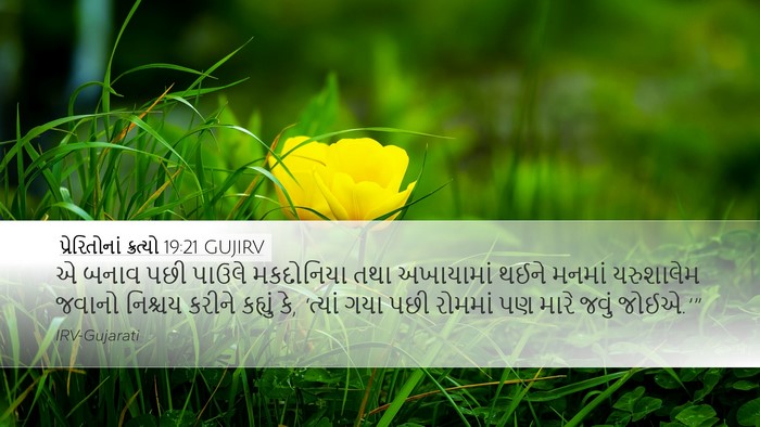 પ્રેરિતોનાં ક્રત્યો 19:21 GUJIRV Bible Verse Image