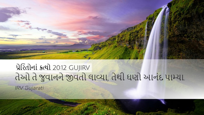 પ્રેરિતોનાં ક્રત્યો 20:12 GUJIRV Bible Verse Image