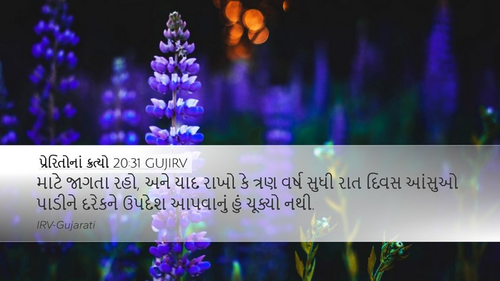 પ્રેરિતોનાં ક્રત્યો 20:31 GUJIRV Bible Verse Image