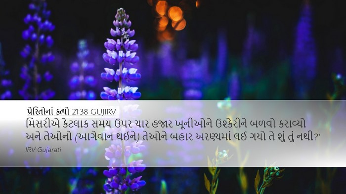 પ્રેરિતોનાં ક્રત્યો 21:38 GUJIRV Bible Verse Image