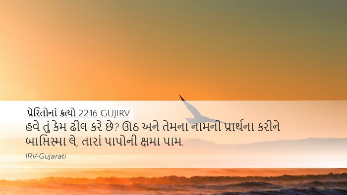 પ્રેરિતોનાં ક્રત્યો 22:16 GUJIRV Bible Verse Image