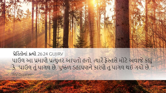 પ્રેરિતોનાં ક્રત્યો 26:24 GUJIRV Bible Verse Image