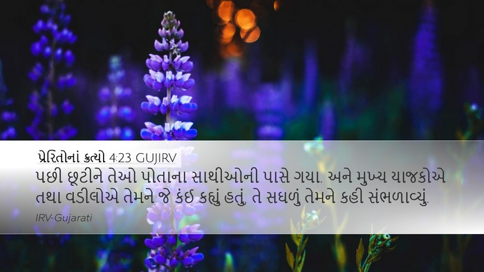 પ્રેરિતોનાં ક્રત્યો 4:23 GUJIRV Bible Verse Image