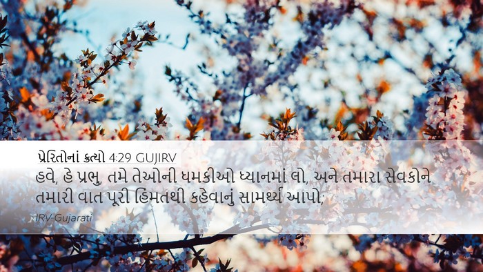 પ્રેરિતોનાં ક્રત્યો 4:29 GUJIRV Bible Verse Image