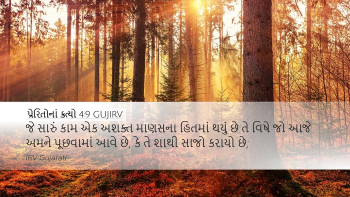 પ્રેરિતોનાં ક્રત્યો 4:9 GUJIRV Desktop Wallpaper - જે સારું કામ એક - Desktop Bible Verse Wallpaper