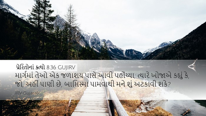 પ્રેરિતોનાં ક્રત્યો 8:36 GUJIRV Bible Verse Image