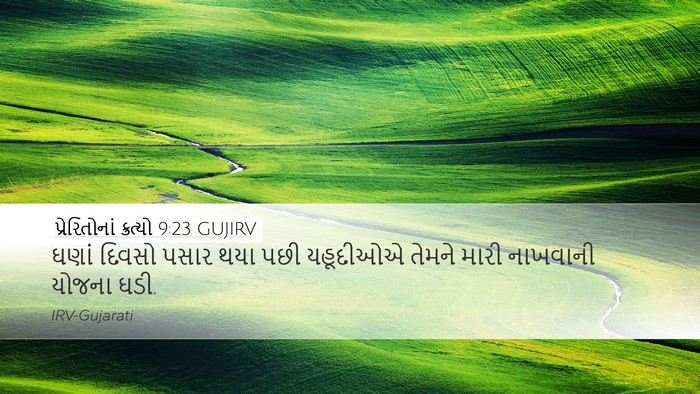 પ્રેરિતોનાં ક્રત્યો 9:23 GUJIRV Bible Verse Image