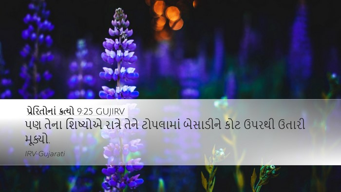 પ્રેરિતોનાં ક્રત્યો 9:25 GUJIRV Bible Verse Image