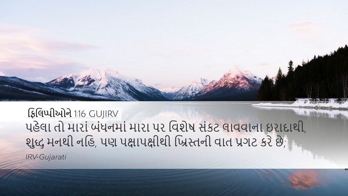 ફિલિપ્પીઓને 1:16 GUJIRV Bible Verse Image