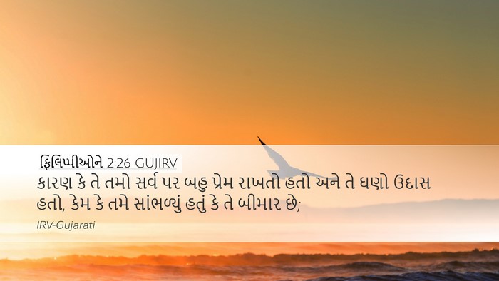 ફિલિપ્પીઓને 2:26 GUJIRV Bible Verse Image