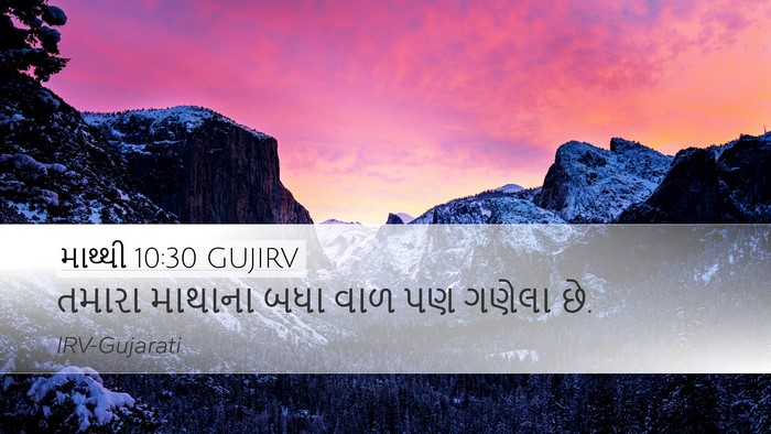માથ્થી 10:30 GUJIRV Desktop Wallpaper - તમારા માથાના બધા - Desktop Bible Verse Wallpaper
