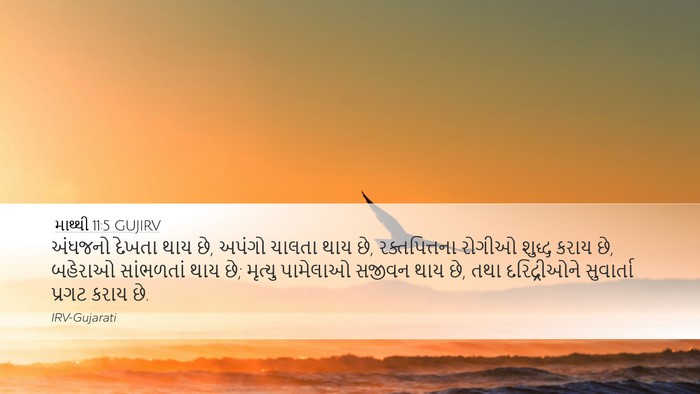 માથ્થી 11:5 GUJIRV Bible Verse Image