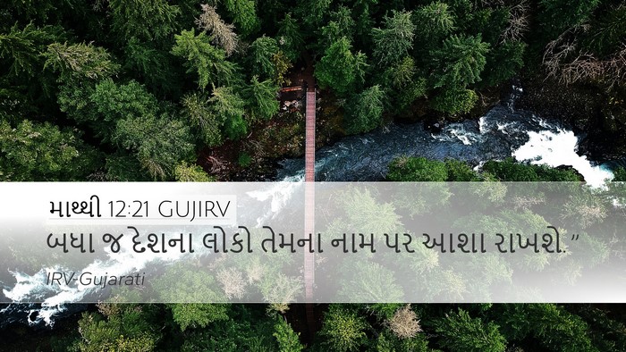 માથ્થી 12:21 GUJIRV Bible Verse Image