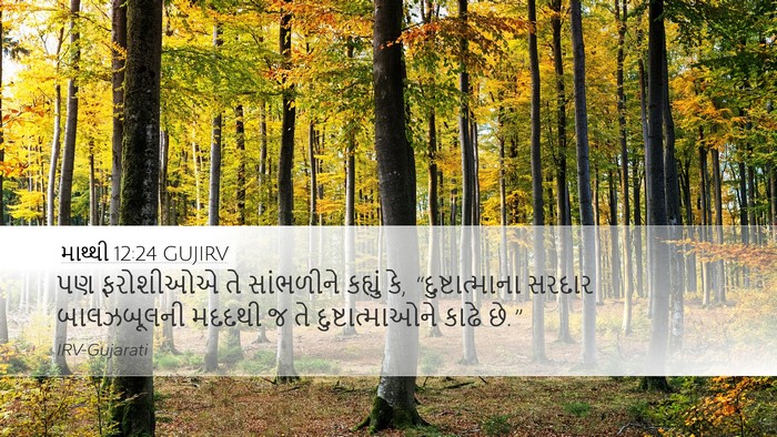 માથ્થી 12:24 GUJIRV Bible Verse Image
