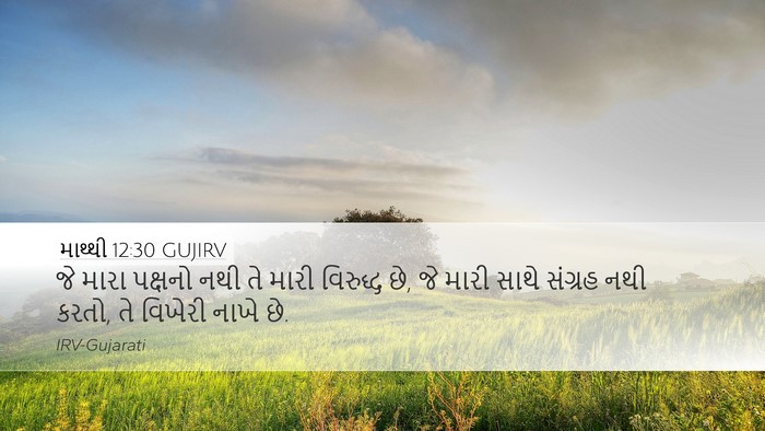 માથ્થી 12:30 GUJIRV Bible Verse Image