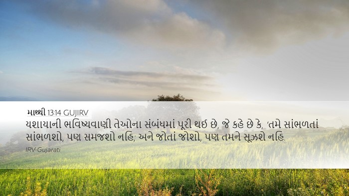 માથ્થી 13:14 GUJIRV Bible Verse Image