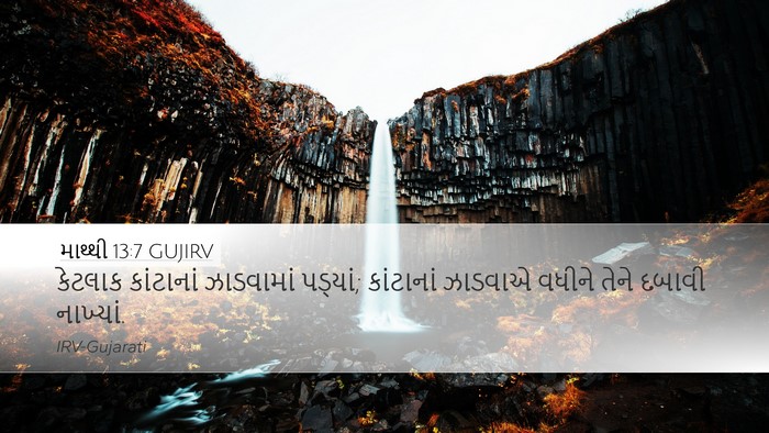 માથ્થી 13:7 GUJIRV Bible Verse Image