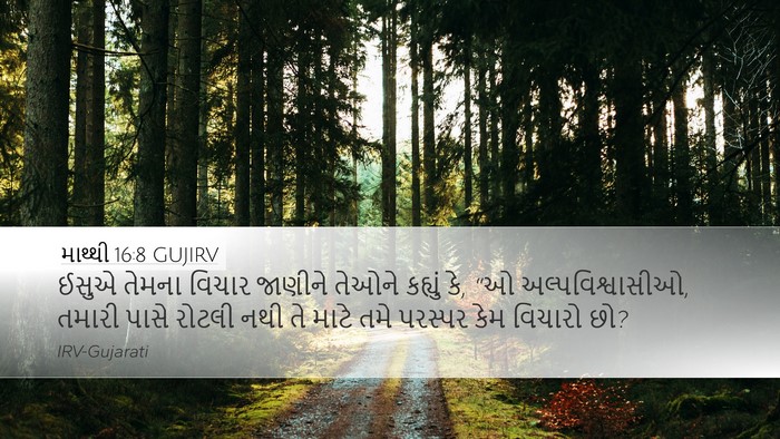 માથ્થી 16:8 GUJIRV Desktop Wallpaper - ઈસુએ તેમના વિચાર - Desktop Bible Verse Wallpaper