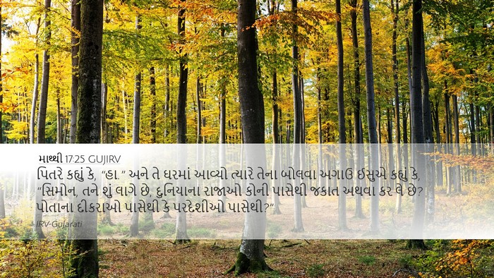 માથ્થી 17:25 GUJIRV Bible Verse Image