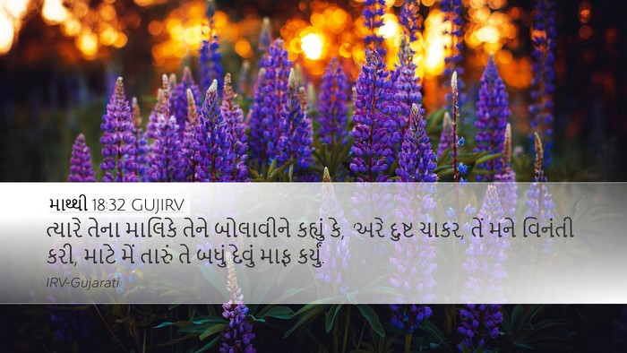 માથ્થી 18:32 GUJIRV Bible Verse Image