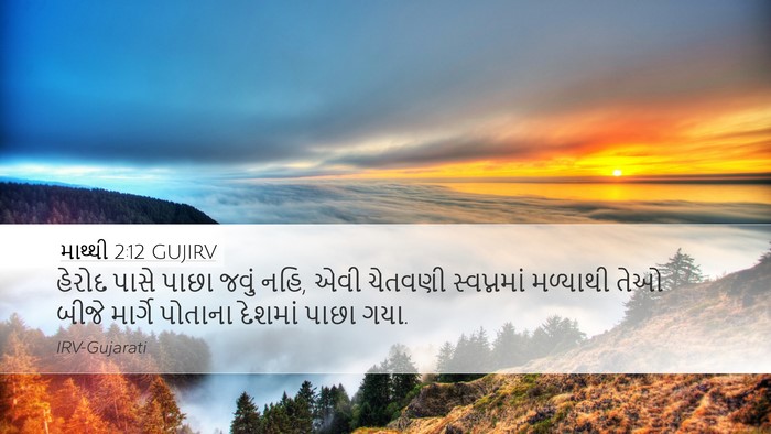 માથ્થી 2:12 GUJIRV Bible Verse Image