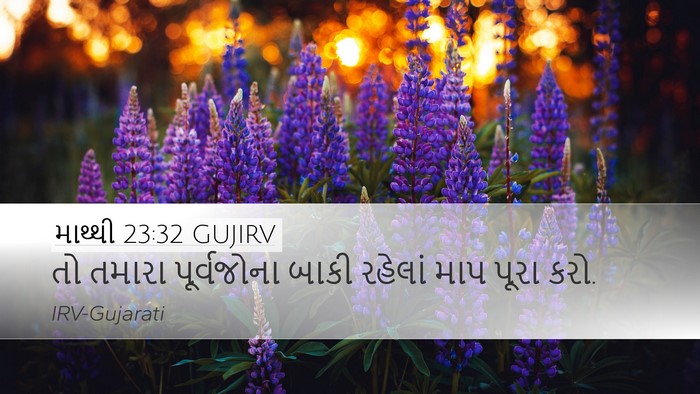માથ્થી 23:32 GUJIRV Bible Verse Image