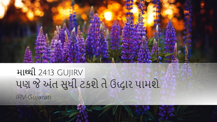 માથ્થી 24:13 GUJIRV Desktop Wallpaper - પણ જે અંત સુધી ટકશે - Desktop Bible Verse Wallpaper