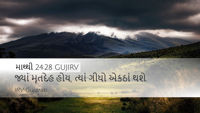 માથ્થી 24:28 GUJIRV Desktop Wallpaper - જ્યાં મૃતદેહ હોય, - Desktop Bible Verse Wallpaper