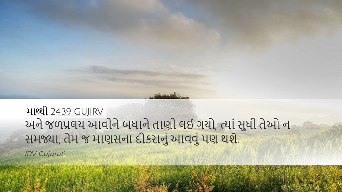 માથ્થી 24:39 GUJIRV Bible Verse Image